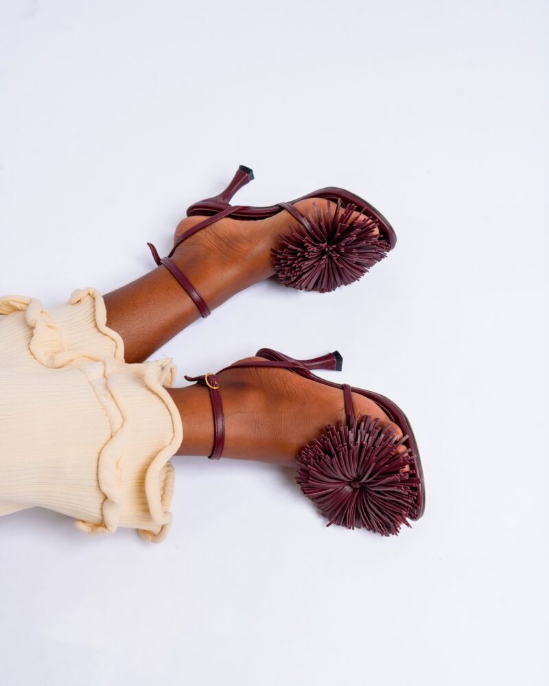 Talons PALMA